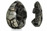 Septarian Dragon Egg Geode - Removable Section #203817-2